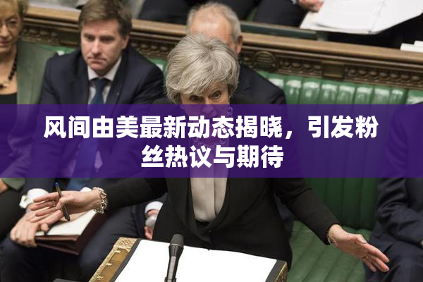 风间由美最新动态揭晓，引发粉丝热议与期待