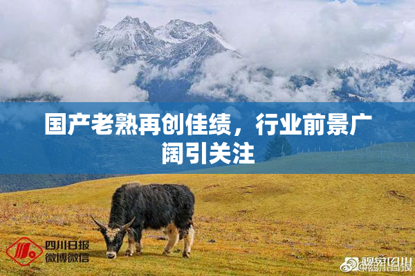国产老熟再创佳绩，行业前景广阔引关注