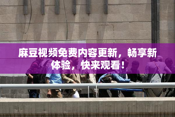 麻豆视频免费内容更新，畅享新体验，快来观看！