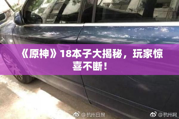 《原神》18本子大揭秘，玩家惊喜不断！