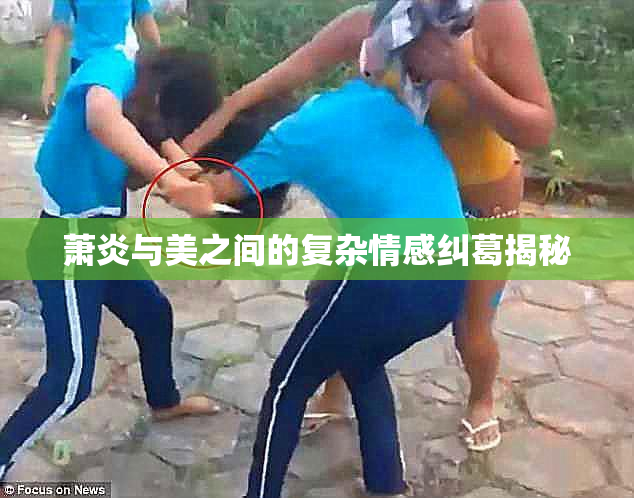 萧炎与美之间的复杂情感纠葛揭秘