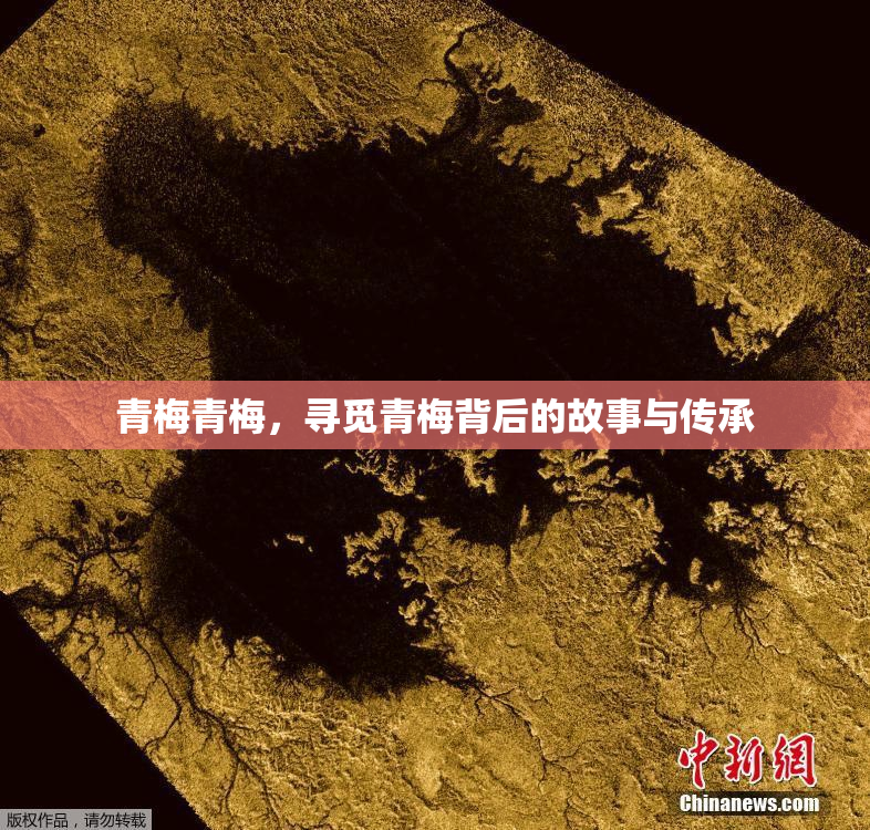 青梅青梅，寻觅青梅背后的故事与传承