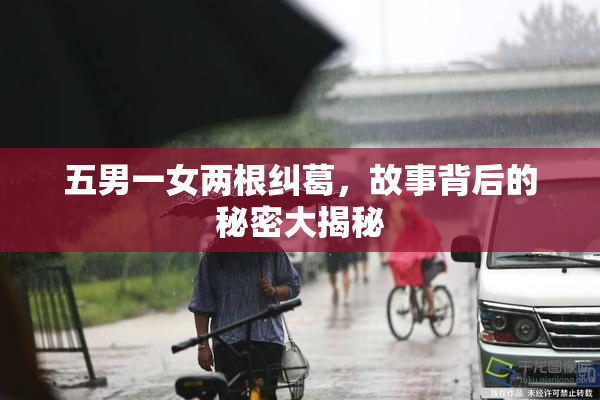 五男一女两根纠葛，故事背后的秘密大揭秘