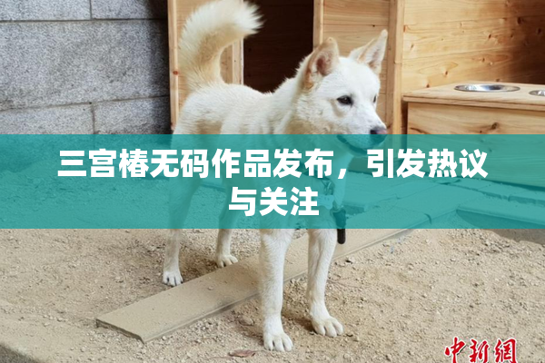 三宫椿无码作品发布，引发热议与关注