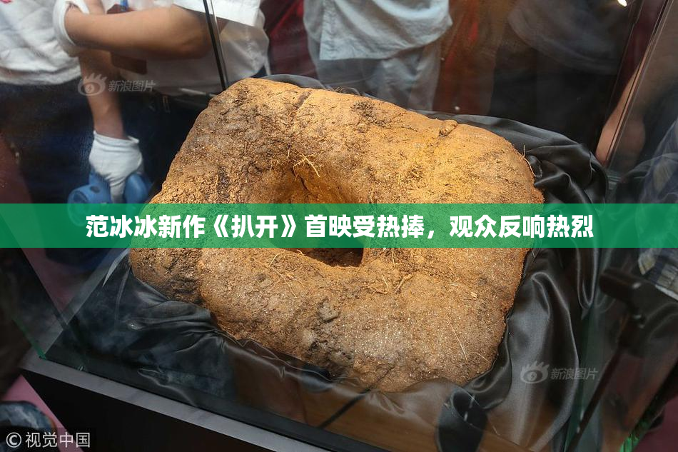 范冰冰新作《扒开》首映受热捧，观众反响热烈