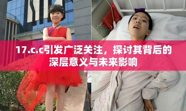 17.c.c引发广泛关注，探讨其背后的深层意义与未来影响