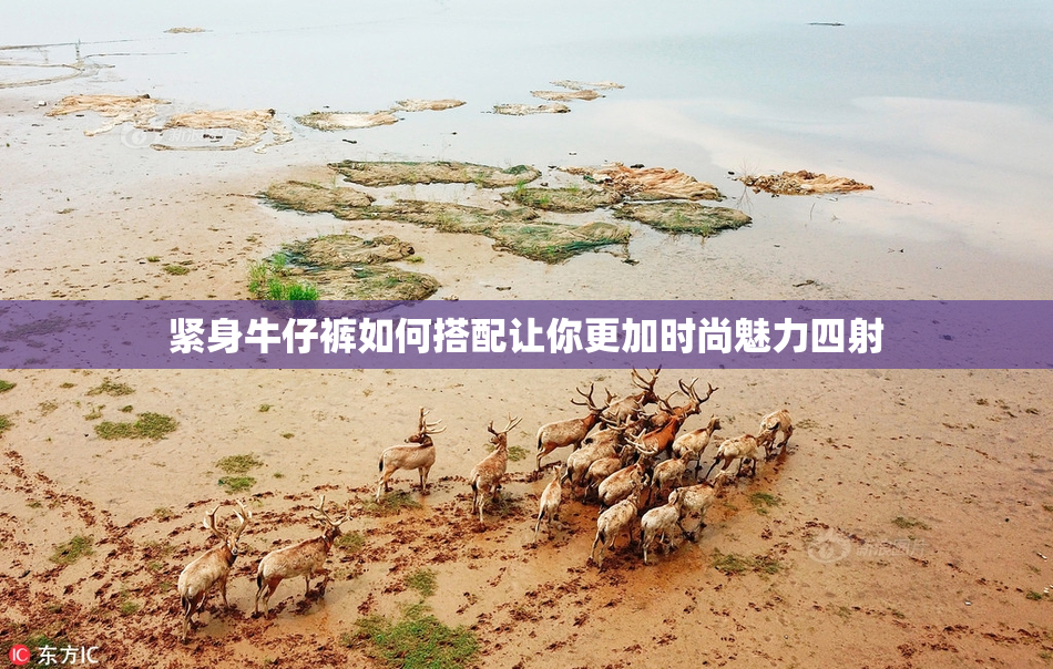 紧身牛仔裤如何搭配让你更加时尚魅力四射