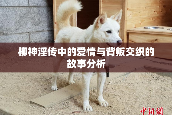 柳神淫传中的爱情与背叛交织的故事分析