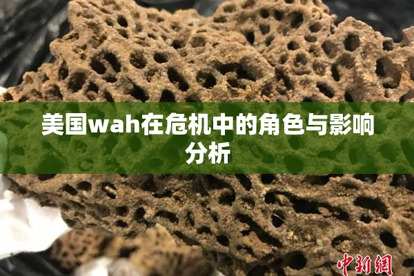美国wah在危机中的角色与影响分析