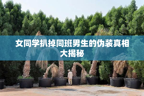 女同学扒掉同班男生的伪装真相大揭秘