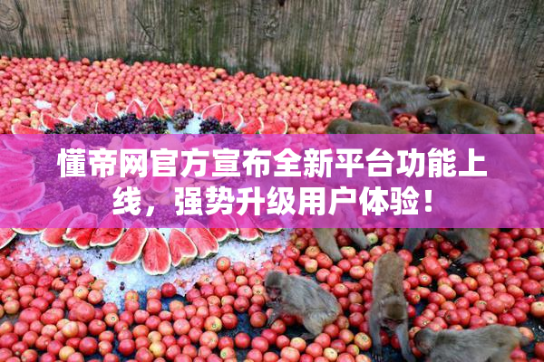 懂帝网官方宣布全新平台功能上线，强势升级用户体验！
