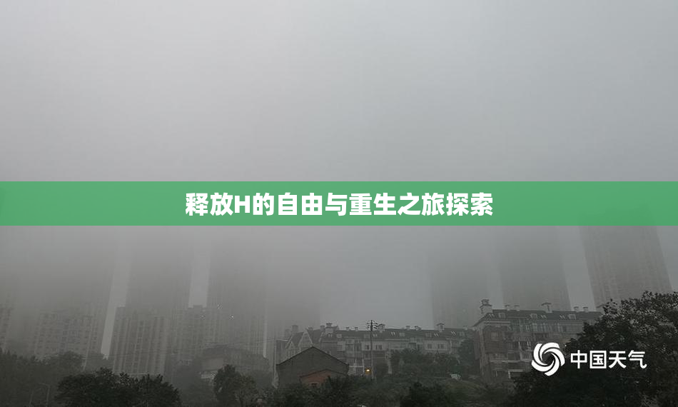 释放H的自由与重生之旅探索