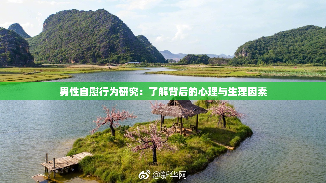 男性自慰行为研究：了解背后的心理与生理因素