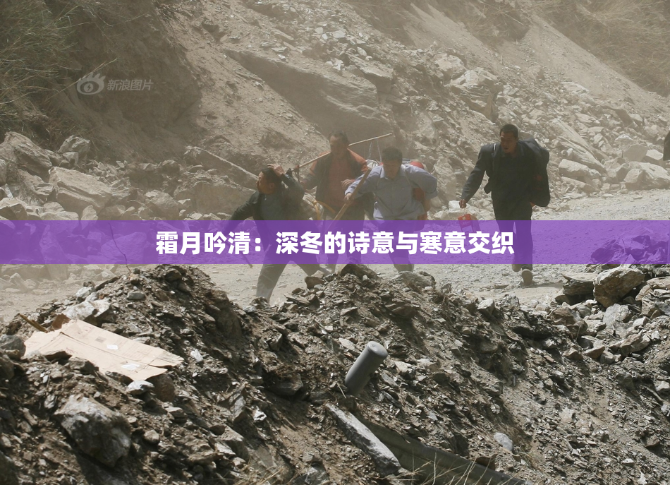 霜月吟清：深冬的诗意与寒意交织