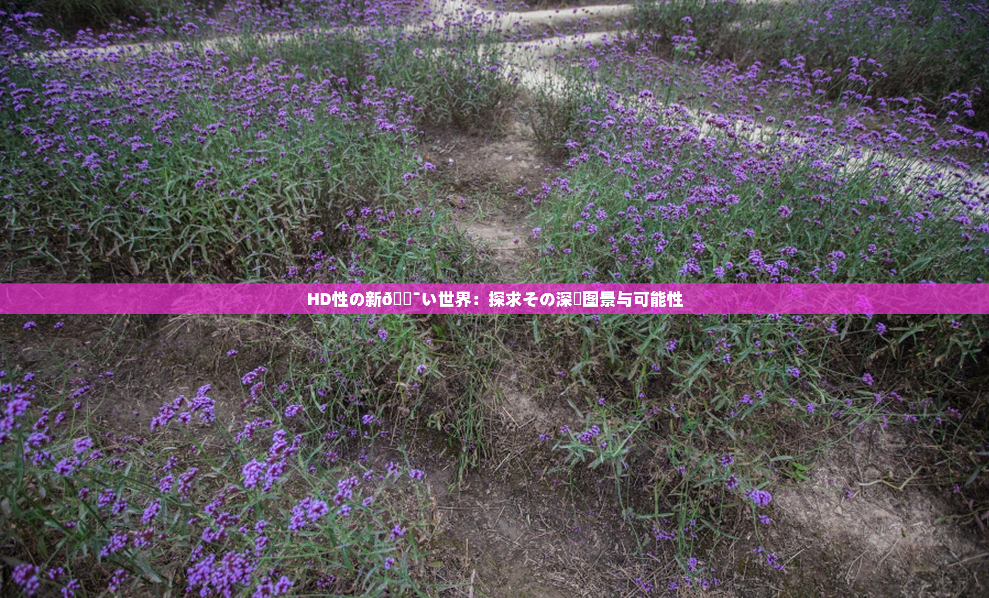 HD性の新🔯い世界：探求その深層图景与可能性