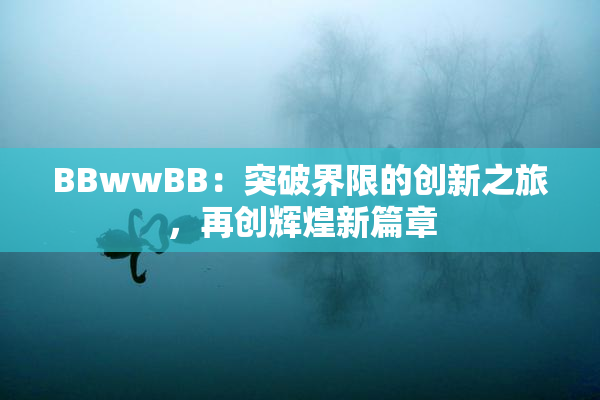 BBwwBB：突破界限的创新之旅，再创辉煌新篇章