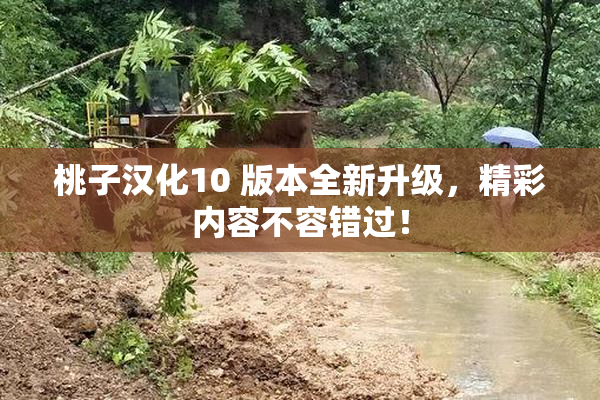 桃子汉化10 版本全新升级，精彩内容不容错过！