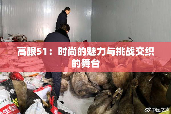 高跟51：时尚的魅力与挑战交织的舞台
