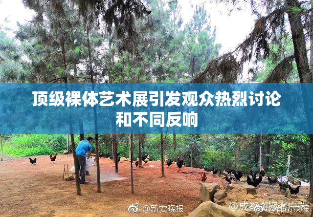 顶级裸体艺术展引发观众热烈讨论和不同反响