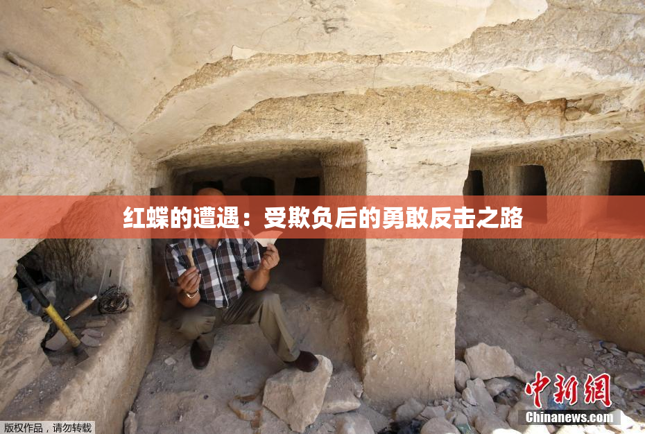 红蝶的遭遇：受欺负后的勇敢反击之路