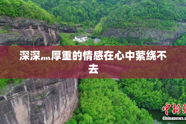 深深灬厚重的情感在心中萦绕不去