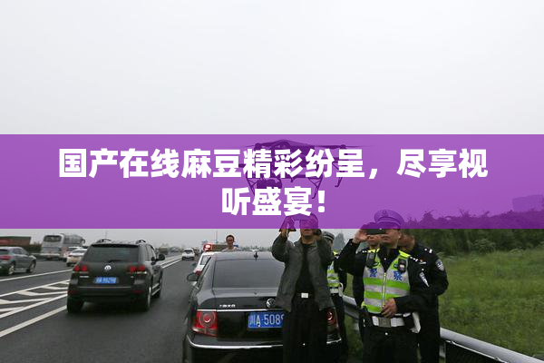 国产在线麻豆精彩纷呈，尽享视听盛宴！
