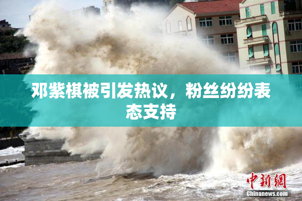 邓紫棋被引发热议，粉丝纷纷表态支持
