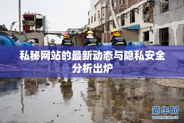 私秘网站的最新动态与隐私安全分析出炉