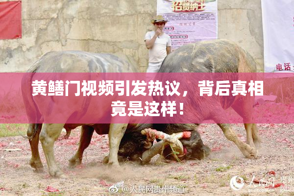 黄鳝门视频引发热议，背后真相竟是这样！