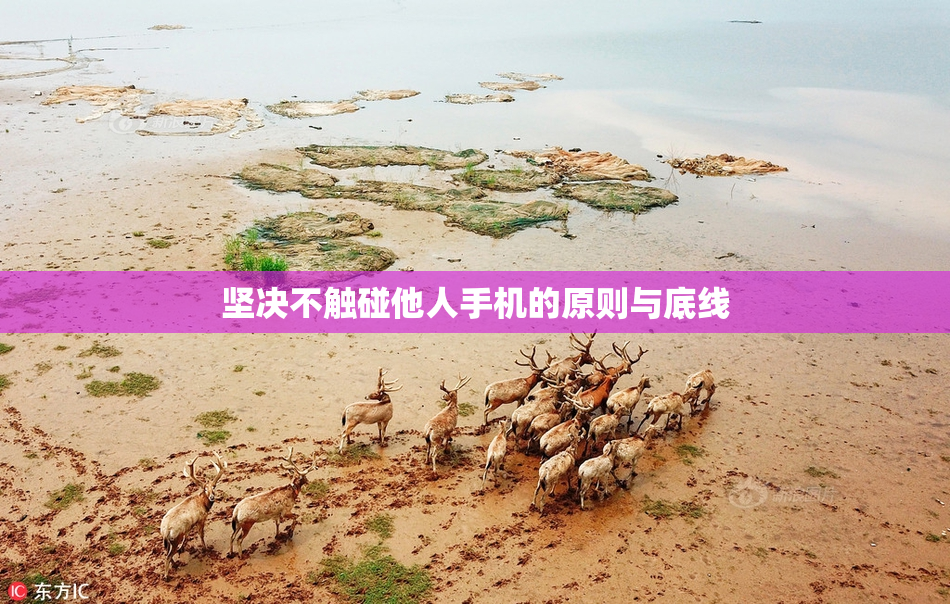坚决不触碰他人手机的原则与底线
