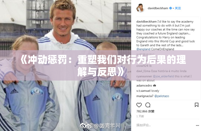 《冲动惩罚：重塑我们对行为后果的理解与反思》