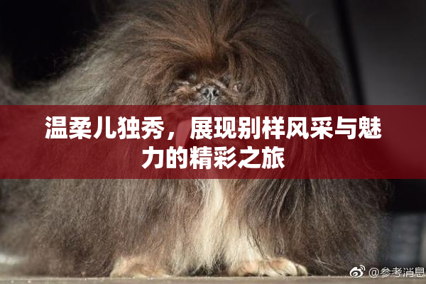 温柔儿独秀，展现别样风采与魅力的精彩之旅