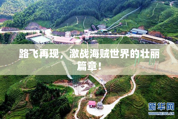 路飞再现，激战海贼世界的壮丽篇章！
