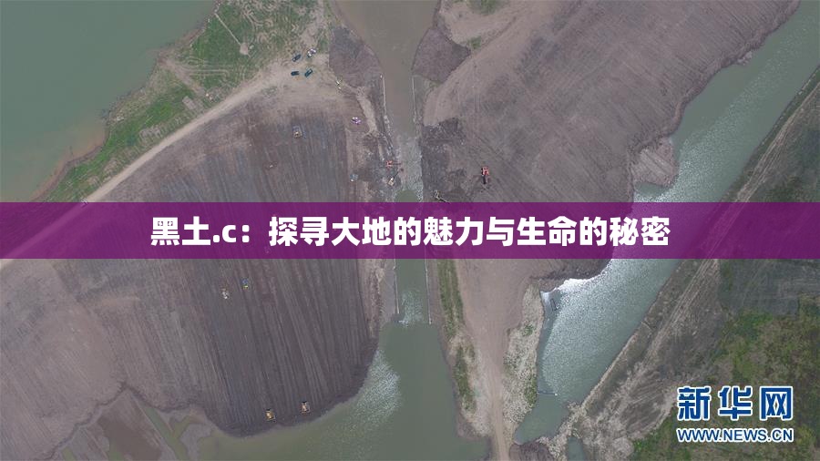 黑土.c：探寻大地的魅力与生命的秘密
