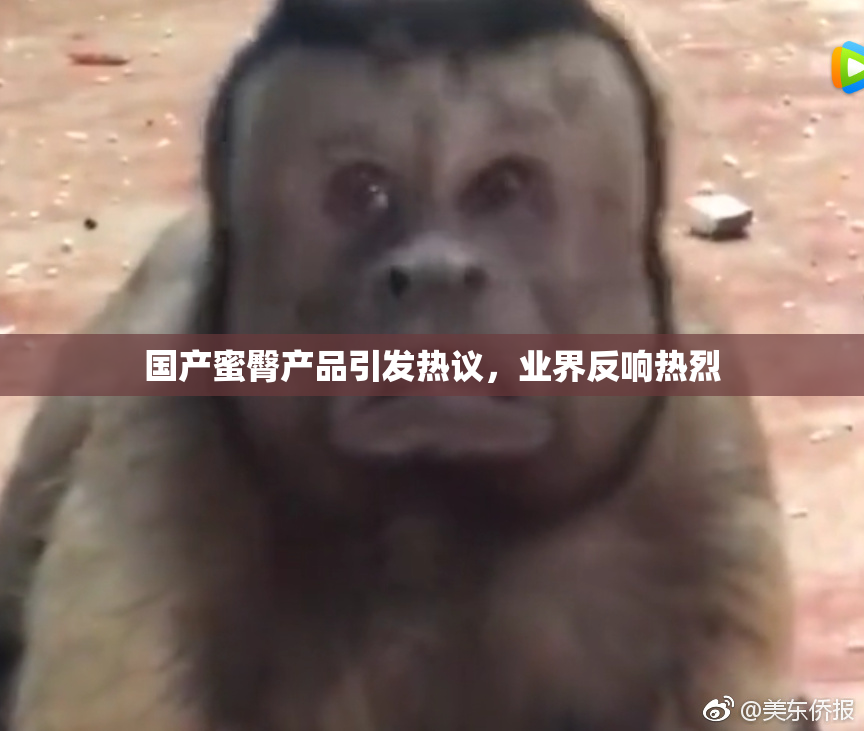 国产蜜臀产品引发热议，业界反响热烈