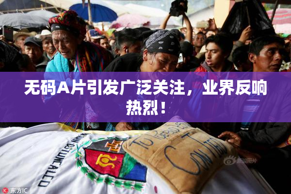 无码A片引发广泛关注，业界反响热烈！