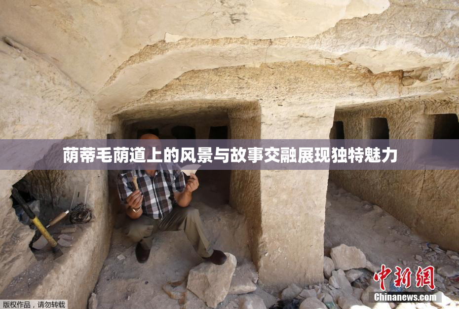 荫蒂毛荫道上的风景与故事交融展现独特魅力