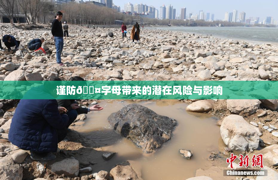 谨防🐤字母带来的潜在风险与影响