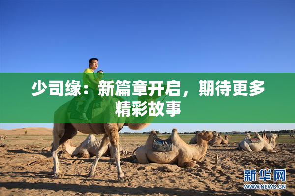 少司缘：新篇章开启，期待更多精彩故事