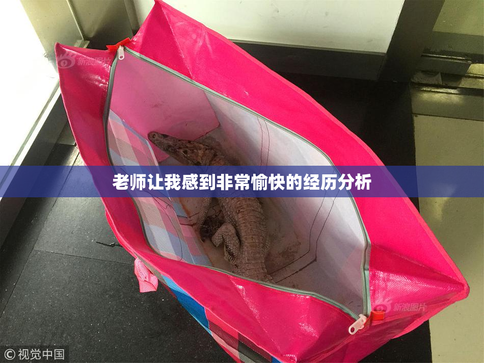 老师让我感到非常愉快的经历分析