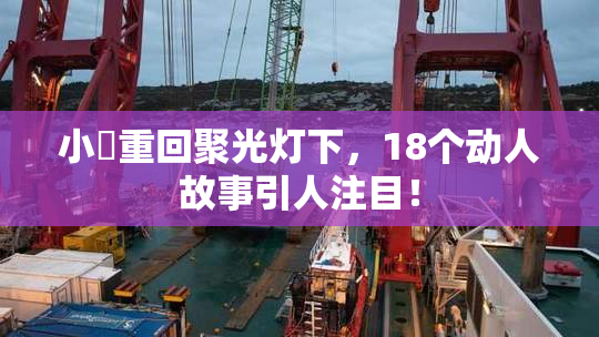 小泬重回聚光灯下，18个动人故事引人注目！