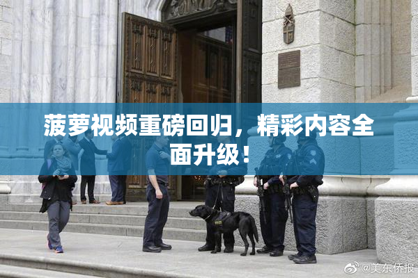 菠萝视频重磅回归，精彩内容全面升级！