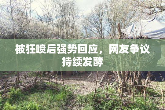 被狂喷后强势回应，网友争议持续发酵