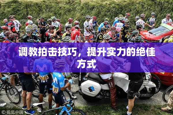 调教拍击技巧，提升实力的绝佳方式