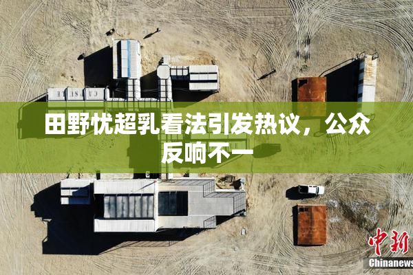 田野忧超乳看法引发热议，公众反响不一