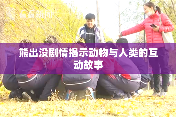 熊出没剧情揭示动物与人类的互动故事