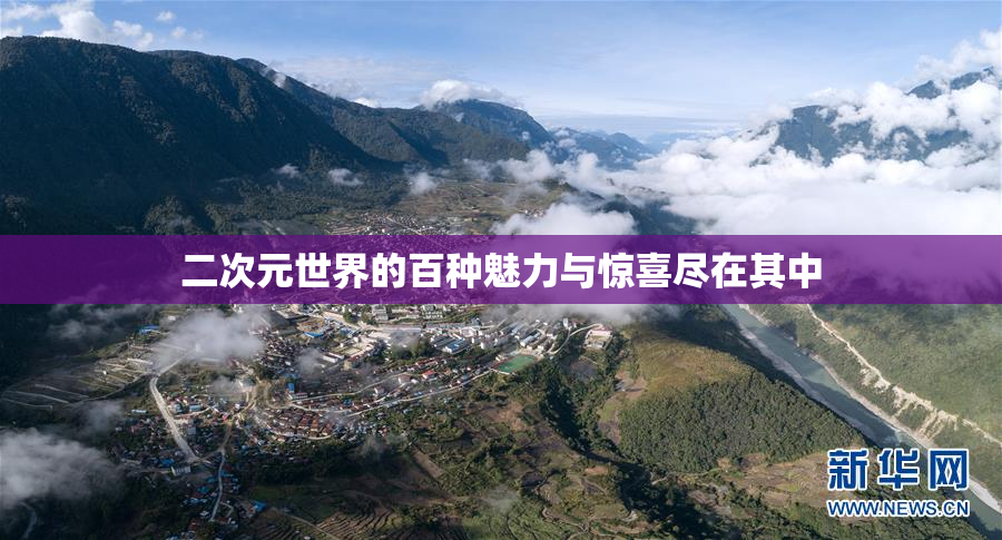 二次元世界的百种魅力与惊喜尽在其中