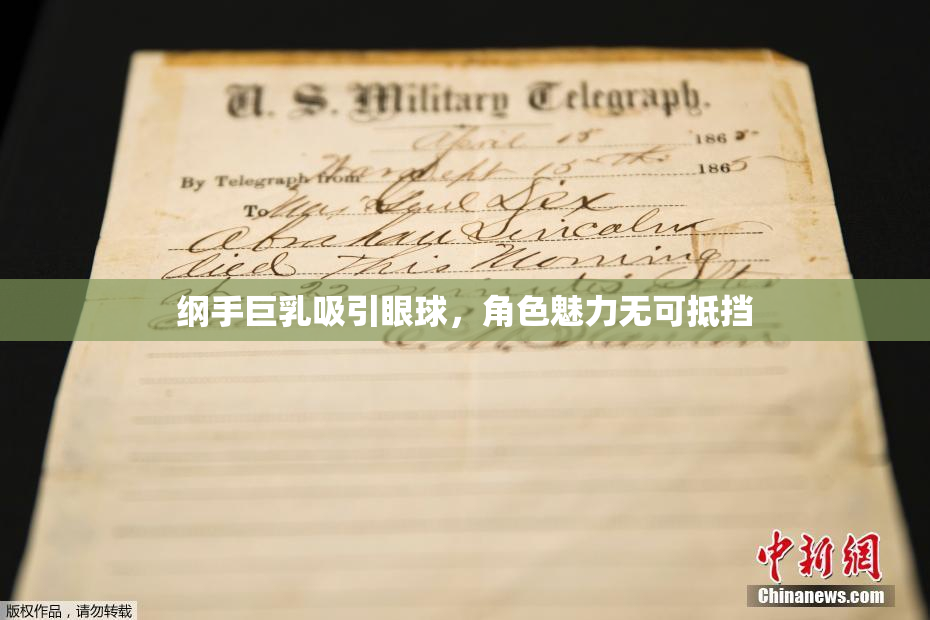 纲手巨乳吸引眼球，角色魅力无可抵挡