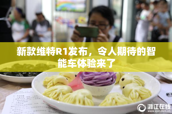新款维特R1发布，令人期待的智能车体验来了