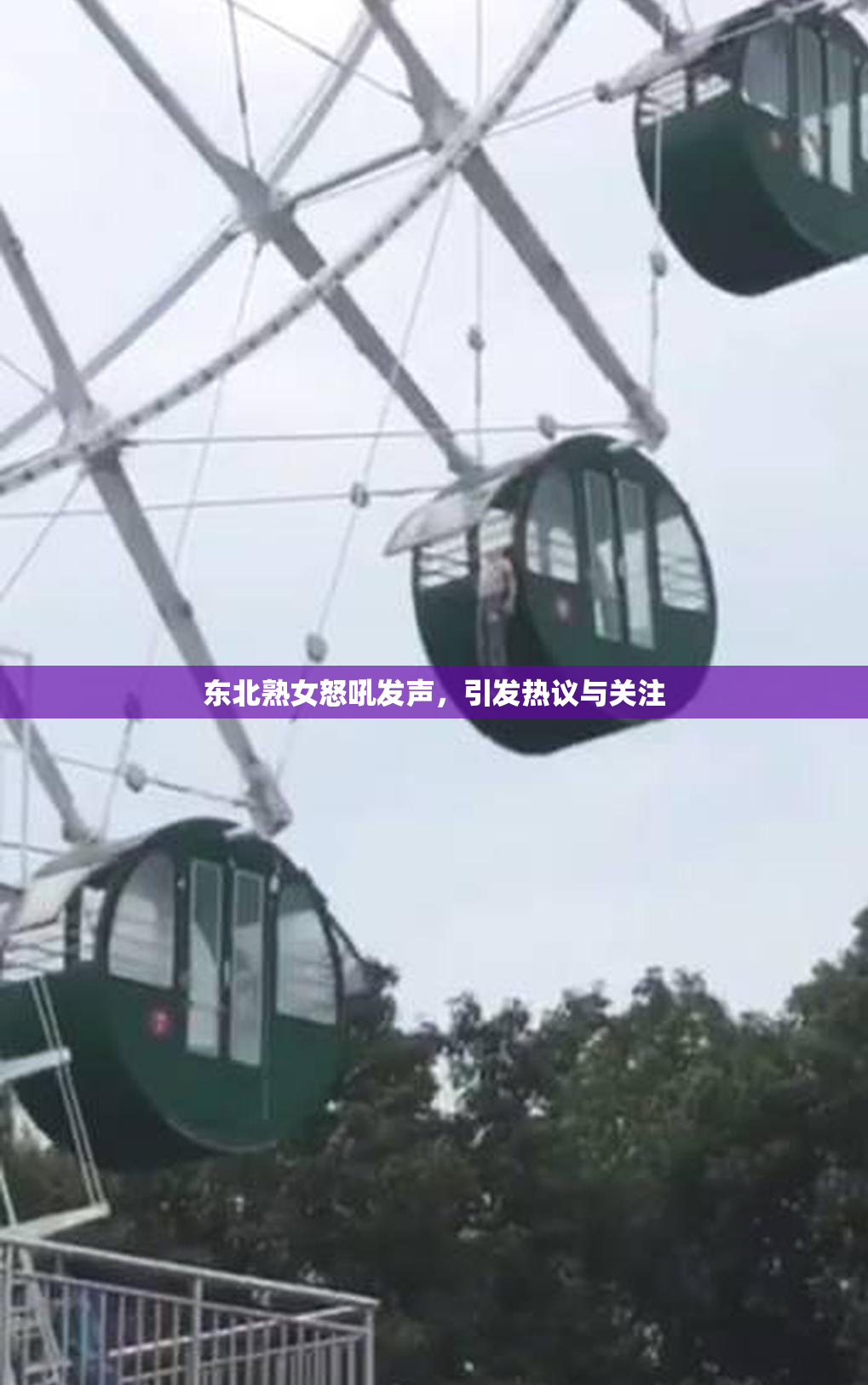 东北熟女怒吼发声，引发热议与关注